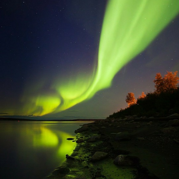 Meet your Posher, Lawrence - Picture 1 of 1